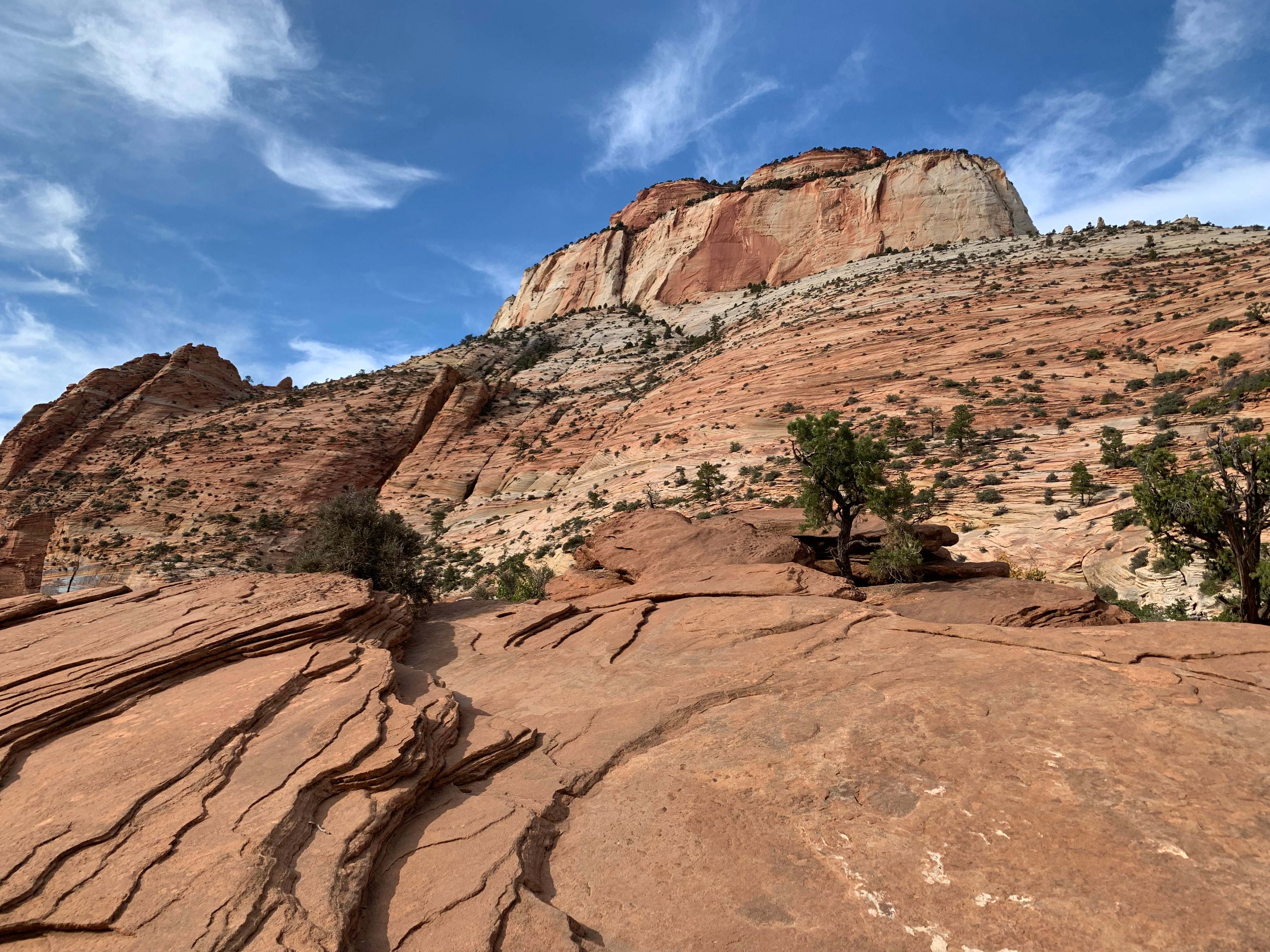 Zion NP